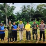 KPH Kotabaru tanam 200 pohon kayu hadapi perubahan iklim-1678086543