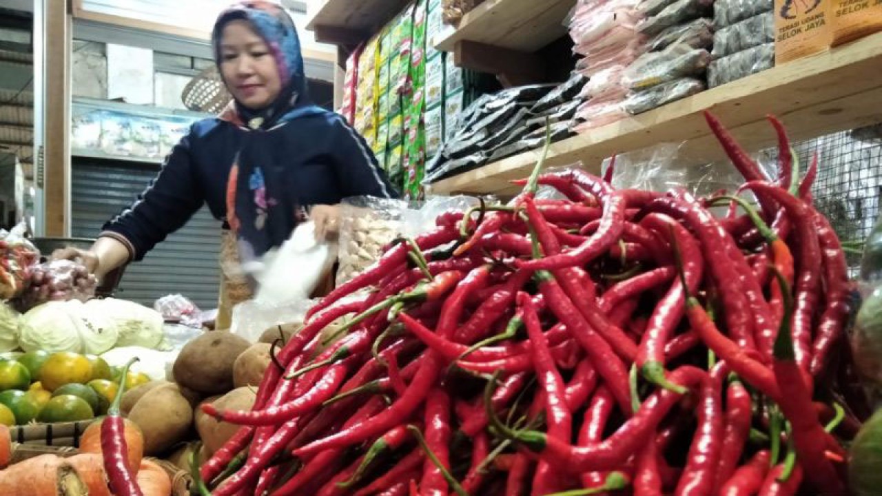 Komoditas cabai yang dijajakan penjual di Pasar Bitingan Kudus, Jawa Tengah. (ANTARA/Akhmad Nazaruddin Lathif)