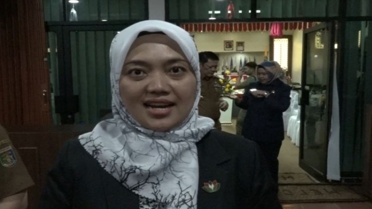 Wakil Gubernur Lampung Chusnunia Chalim memberi keterangan. ANTARA/Ruth Intan Sozometa Kanafi
