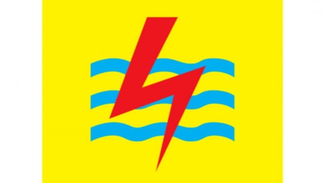Logo PLN (1)