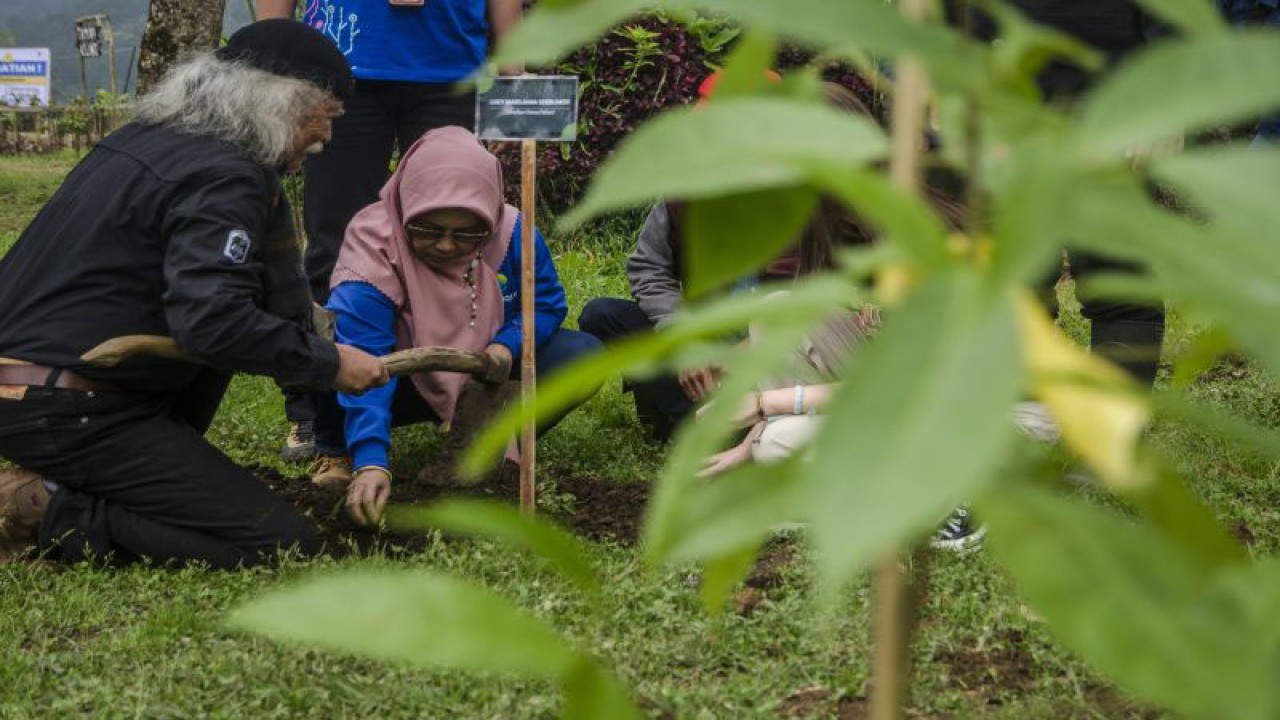 Dirut Perhutani Alam Wisata (Palawi) Lucy Mardiana menanam salah satu bibit pohon di lahan wisata Ranca Upas, Ciwidey, Kabupaten Bandung, Jawa Barat, Selasa (14/3/2023). PT Perhutani Alam Wisata (Palawi) menanam kembali ratusan bibit bunga rawa serta sejumlah bibit pohon endemik Jawa Barat di lahan yang mengalami kerusakan lingkungan akibat kegiatan motor trail beberapa waktu lalu di area Wisata Ranca Upas. ANTARA FOTO/Novrian Arbi/tom (ANTARA FOTO/NOVRIAN ARBI)