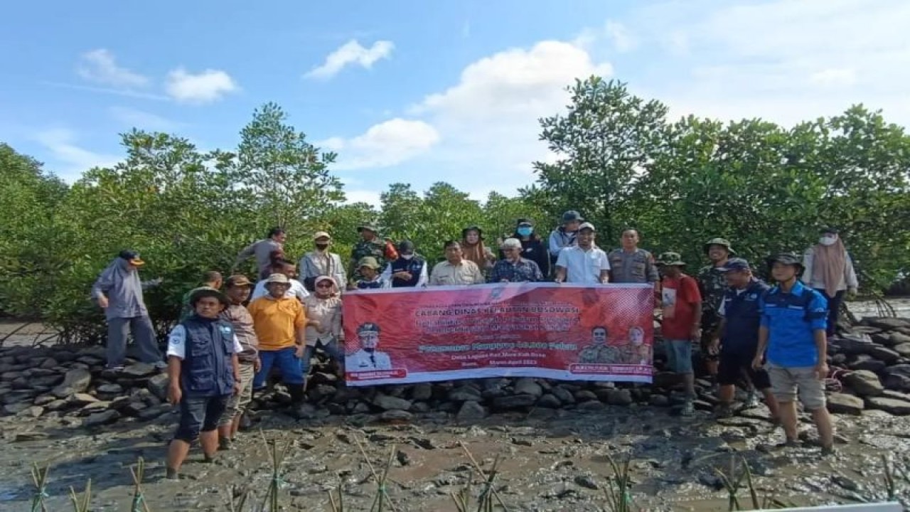 CDK Bosowasi melakukan penanaman mangrove di Kabupaten Bone, Sulawesi Selatan.ANTARA/HO-DKP Sulsel