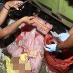 Mayat bayi laki-laki disamping tempat sampah di Komba Sentani Kabupaten Jayapura, Papua (HO-Polres Jayapura)-1679552837