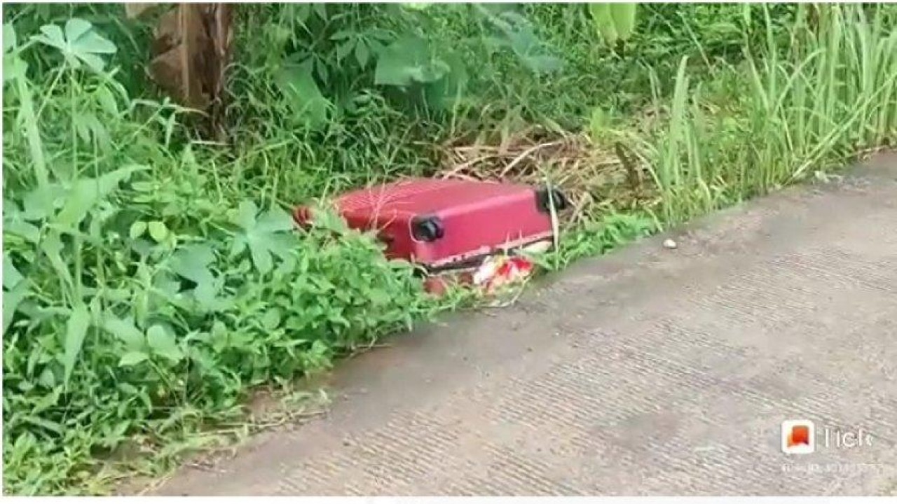 Mayat mutilasi dalam koper. (Net)