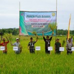 Panen padi di Kabupaten Gunungkidul. (ANTARA/HO-Humas Pemkab Gunungkidul)-1679204383