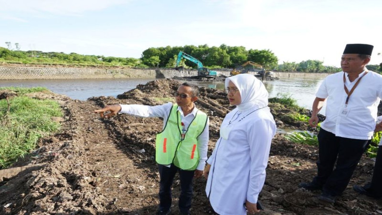 Bupati Banyuwangi Ipuk Fiestiandani meninjau pelaksanaan normalisasi Kali Lo untuk penanganan banjir. ANTARA/HO-Humas Pemkab Banyuwangi
