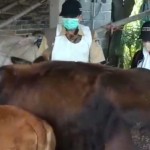 Pemkab Blitar intensif vaksinasi sapi cegah meluasnya penyakit LSD-1678160691