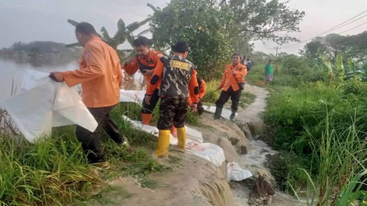 Penguatan dan peninggian tanggul Sungai Tuntang untuk mencegah banjir di kawasan pemukiman warga di Kabupaten Grobogan, Jawa Tengah. (ANTARA/HO-BPBD Grobogan.)