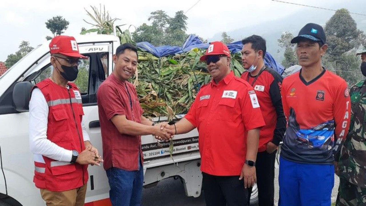 Ketua PMI Kabupaten Boyolali Sunarno saat menyerahkan bantuan hijauan pakan ternakl kepada Kades Klakah Marwoto untulk warga terdampak abu vulkanik Merapi di desa Klakah Kecamatan Selo Kabupaten Boyolali, Kamis (16/3/2023). ANTARA/Bambang Dwi Marwoto.