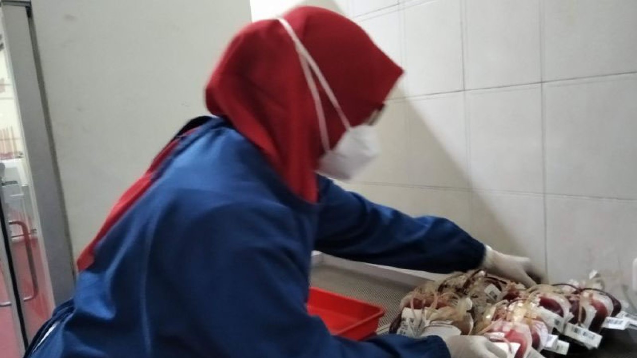 Petugas PMI menata stok darah. (ANTARA/Akhmad Nazaruddin Lathif)