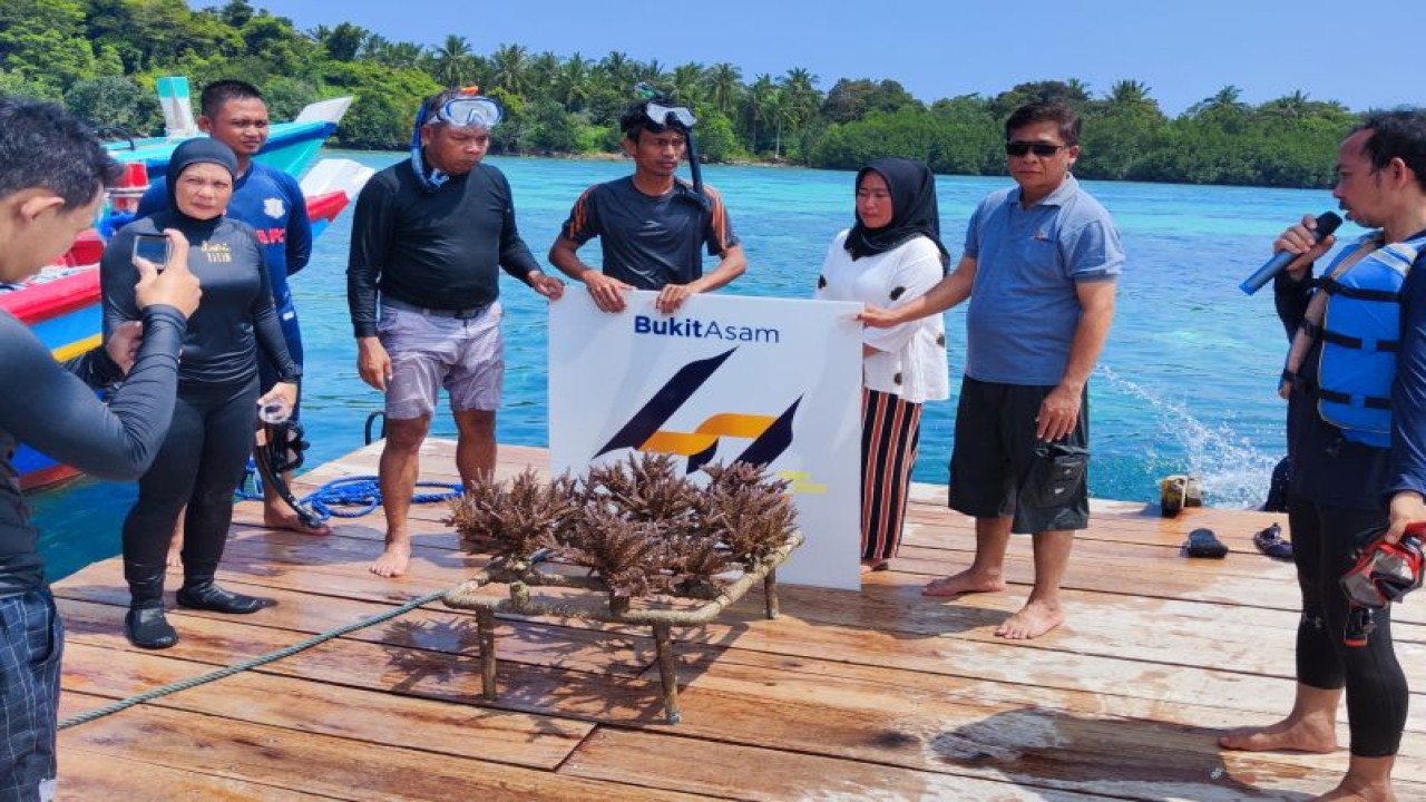 PT Bukit Asam Tbk (PTBA) menanam terumbu karang di kawasan perairan Pulau Pahawang, Kabupaten Pesawaran, Provinsi Lampung, sebagai upaya pelestarian ekosistem di daerah itu. (ANTARA/HO-PTBA)