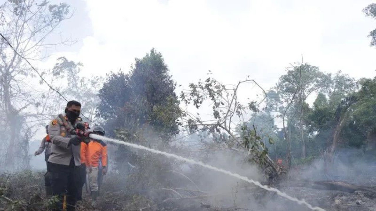BMKG Pekanbaru pantau hot spot di Riau.Antara/Dok.