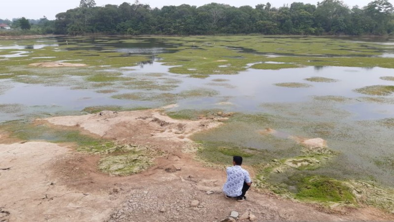 Waduk Gesek di Kabupaten Bintan, Kepulauan Riau kering karena tidak terjadi hujan beberapa waktu lalu. FOTO ANTARA/Nikolas Panama