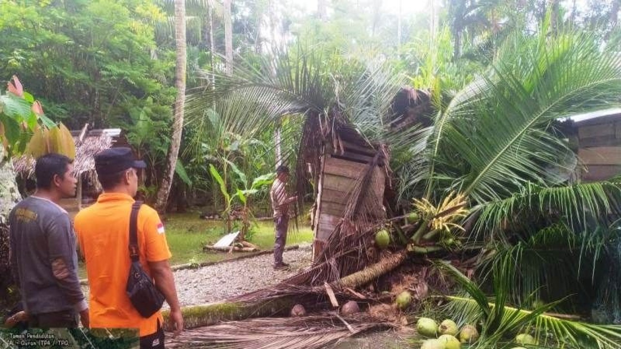 Sebuah rumah warga di Desa Alue Peudeung, Kecamatan Kaway XVI, Aceh Barat, rusak akibat tertimpa pohon saat kawasan tersebut dilanda hujan lebat disertai angin kencang, Sabtu (25/3/2023). (ANTARA/HO)