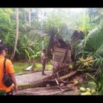Rumah warga di Aceh Barat tertimpa pohon saat terjadi angin kencang-1679796423