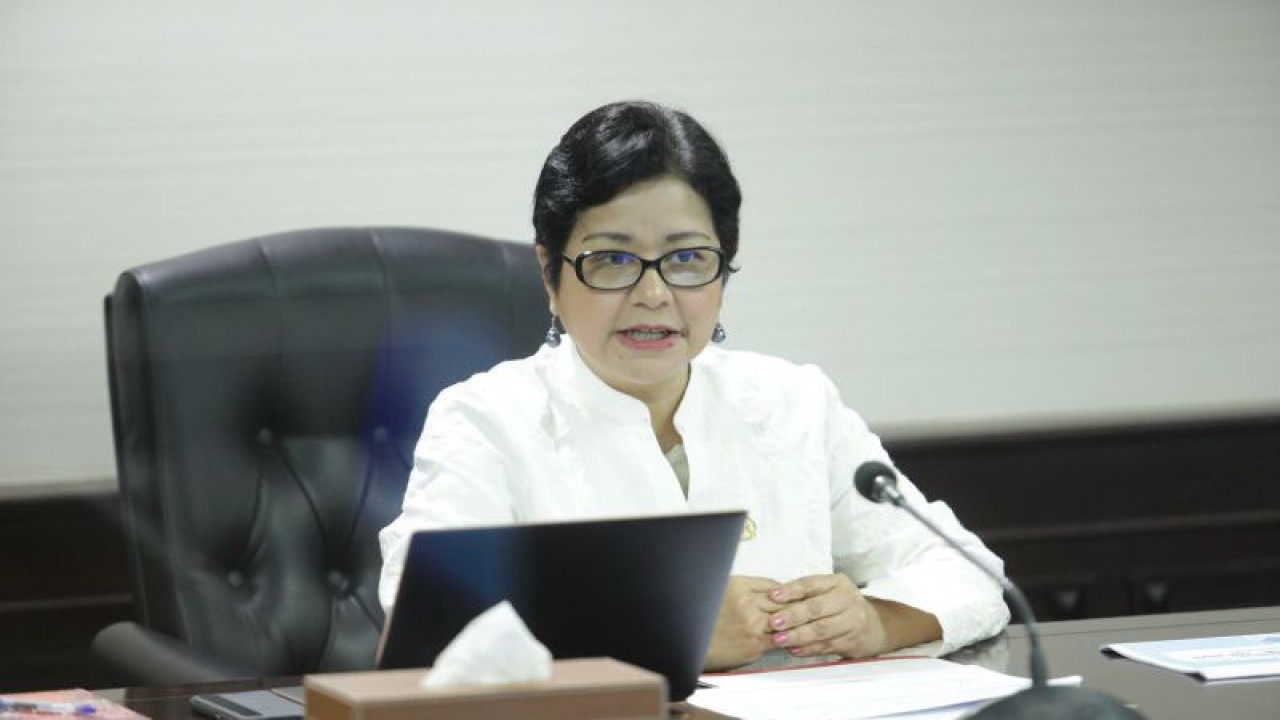 Ketua Dewan Audit Otoritas Jasa Keuangan (OJK) Sophia Wattimena dalam Courtesy Meeting dengan Ikatan Auditor Intern Bank (IAIB) sebagaimana dikutip dari keterangan resmi, Senin (27/3/2023). ANTARA/HO-OJK/pri
