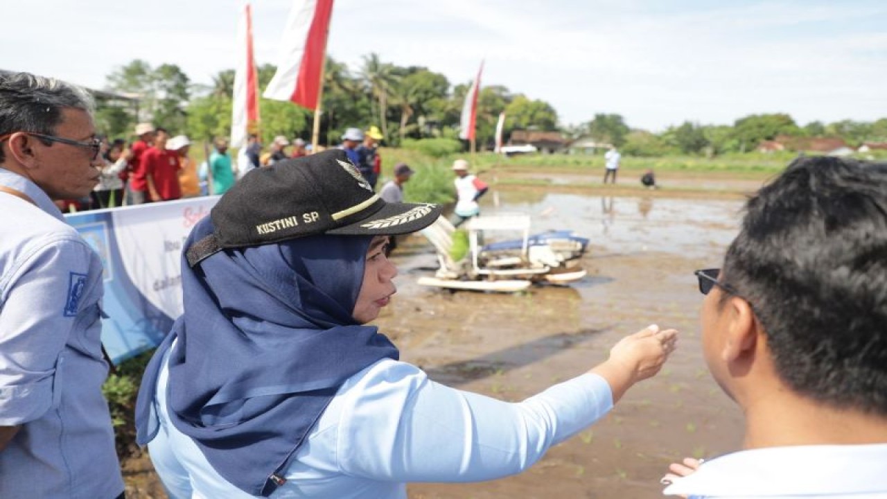 Bupati Sleman Kustini Sri Purnomo saat menghadiri percepatan tanam padi melalui "rice transplanter" di Bulak Konteng" atas kerja sama Dinas Pertanian, Pangan dan Perikanan Sleman dengan Gapoktan Sumber Lestari, Sumberadi, Mlati, Selasa (28/3/2023). ANTARA/HO-Bagian Prokopim Setda Sleman