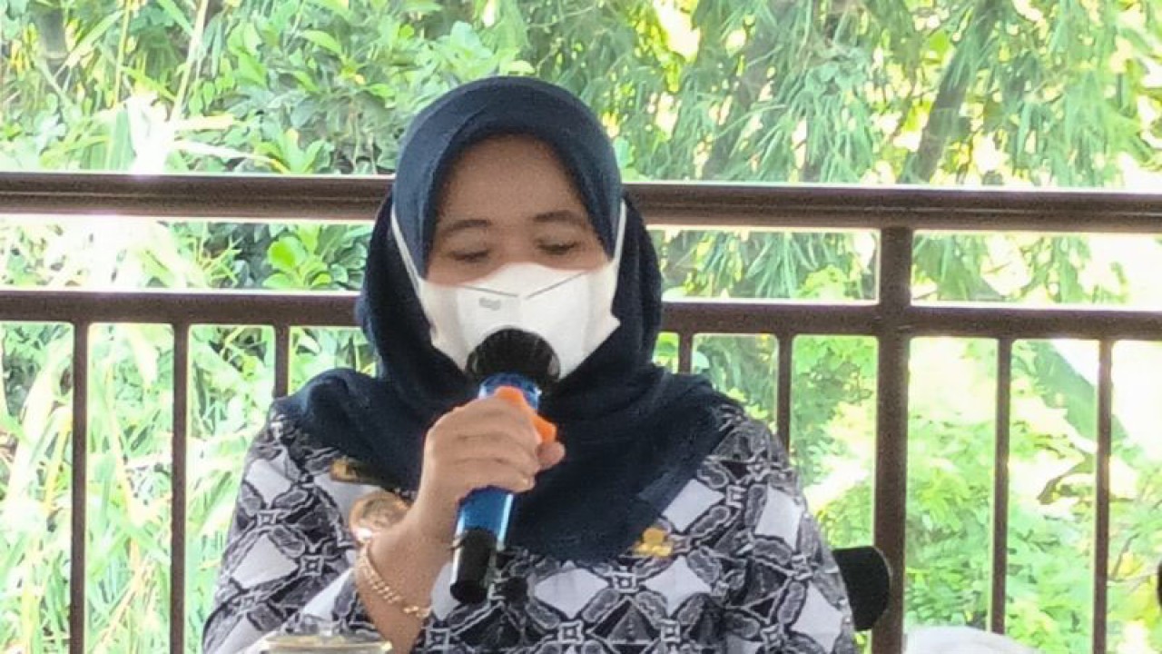 Bupati Sleman Kustini Sri Purnomo. ANTARA/Victorianus Sat Pranyoto