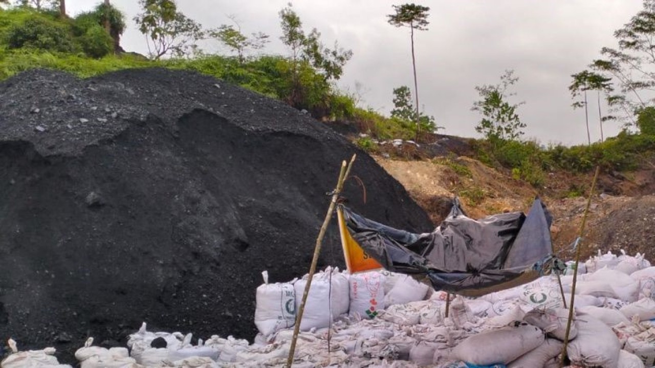 Ratusan kilogram batu bara hasil tambang ilegal di dalam kawasan hutan lindung Bukit Daun Kabupaten Bengkulu Tengah. ANTARA/Anggi Mayasari