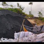 Tersangka tambang ilegal di hutan Bengkulu terancam denda Rp100 miliar-1678690588