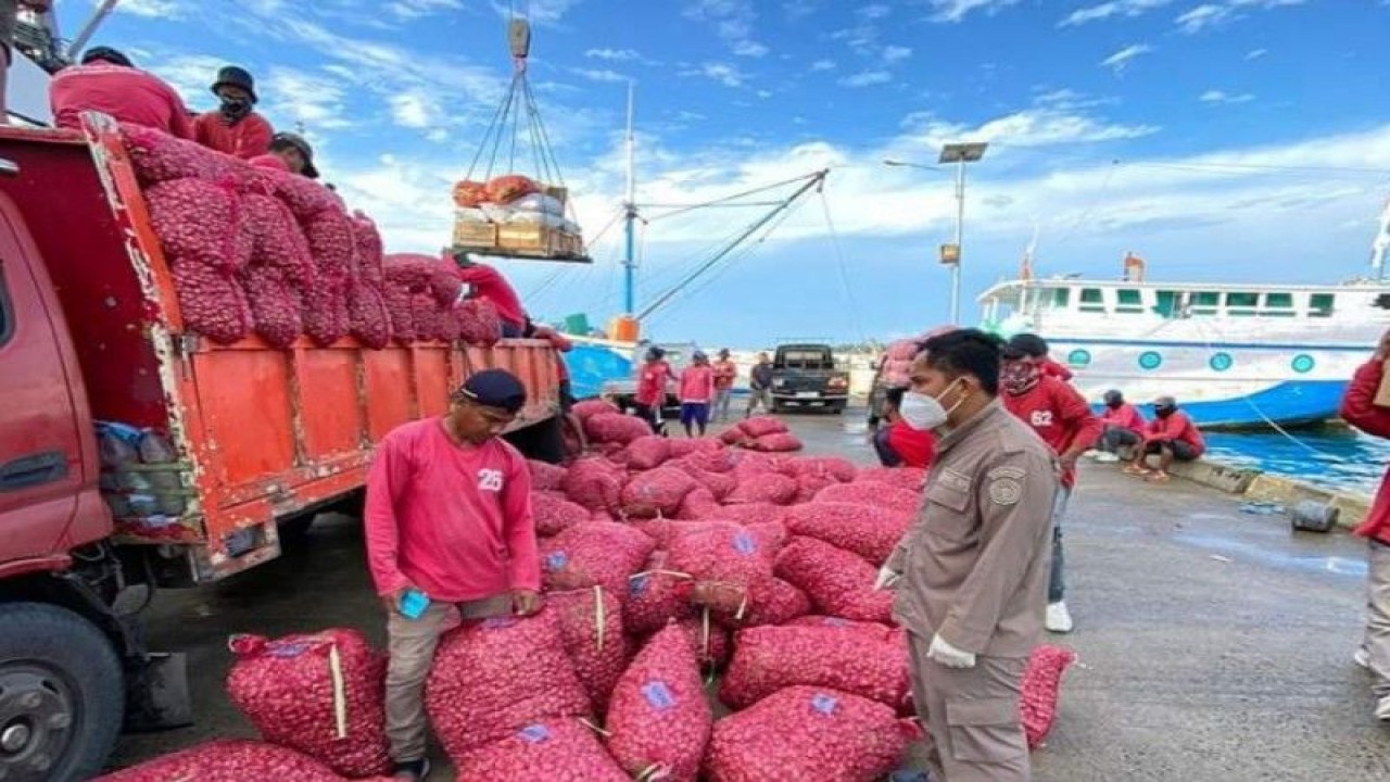 Sebanyak 18,7 ton bawang merah dari pelabuhan Majene Provinsi Sulawesi Barat (Sulbar) dikirim ke Kota Baru Provinsi Kalimantan Selatan (Kalsel) setelah dilakukan pemeriksaan Karantina pertanian Mamuju, Kamis (20/4/2023) ANTARA Foto/M Faisal Hanapi