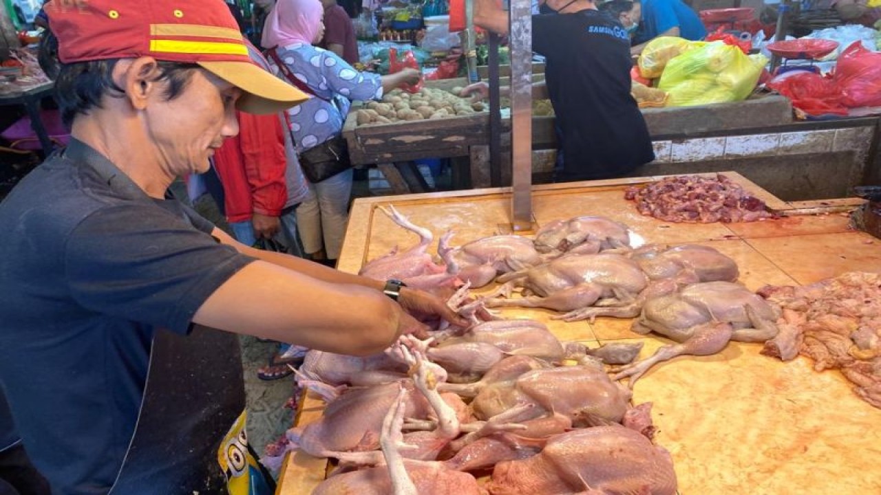 Aktivitas penjual ayam di Pasar Flamboyan, Pontianak, Kalbar. ANTARA/Fiyya
