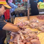 Aktivitas penjual ayam di Pasar Flamboyan, Pontianak, Kalbar. ANTARA/Fiyya-1680681401