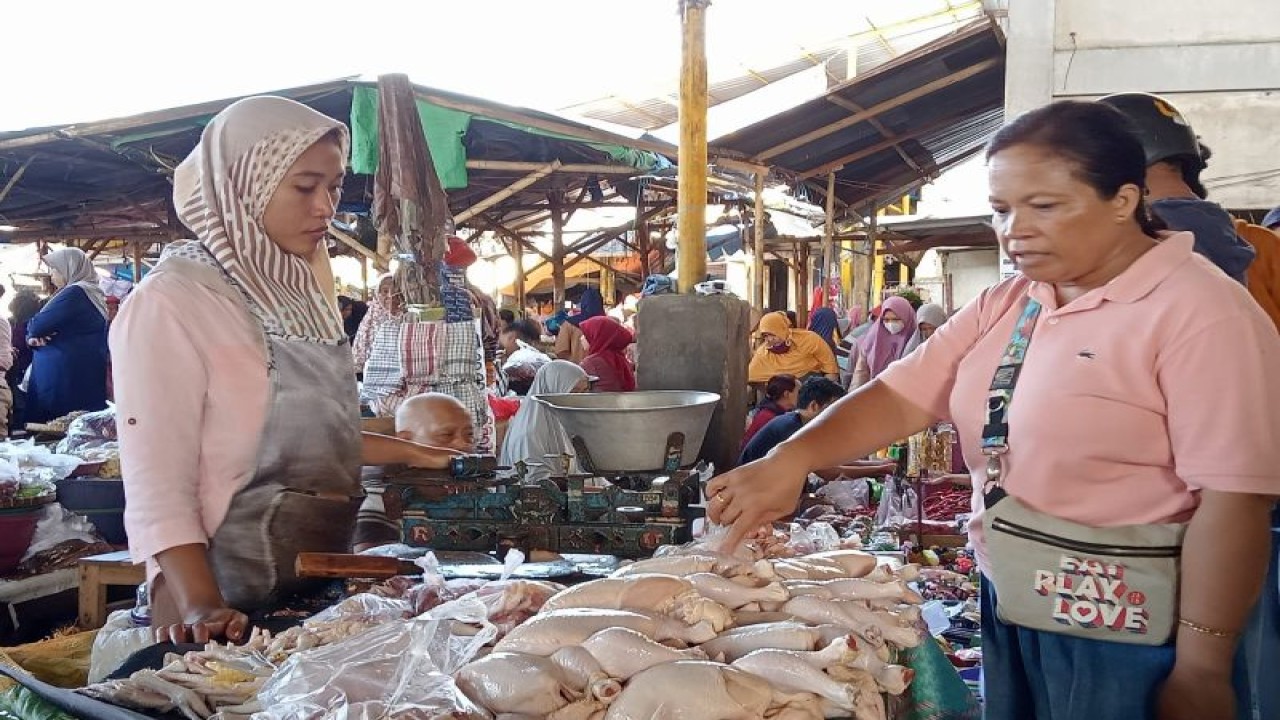 Ilustrasi: aktivitas pedagang ayam segar di Pasar Kebon Roek Kota Mataram, Provinsi Nusa Tenggara Barat. (ANTARA/Nirkomala)