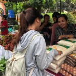 Bali dapat pasokan 500 ton beras dari NTB-1680423571