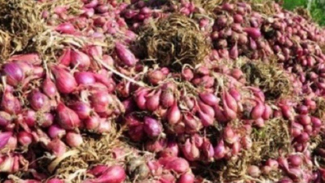 Ilustrasi, stok bawang dan cabai di pedagang Pangkalpinang cukup (Antara)