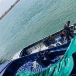 Bea Cukai gagalkan penyelundupan 60 ribu benih lobster di Batam-1680505471