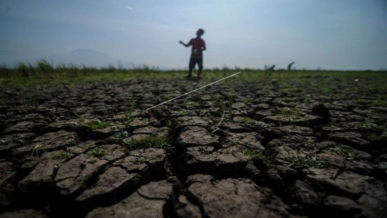 Seorang anak bermain di lahan sawah yang mengalami kekeringan di Cibiru Hilir, Kabupaten Bandung, Jawa Barat, Kamis (6/8/2020). Badan Meteorologi, Klimatologi dan Geofisika (BMKG) mengindikasi potensi kekeringan meteorologis di sejumlah wilayah Indonesia hingga dua dasarian ke depan dengan status waspada hingga awas. (ANTARA/Raisan Al Farisi/NZ)