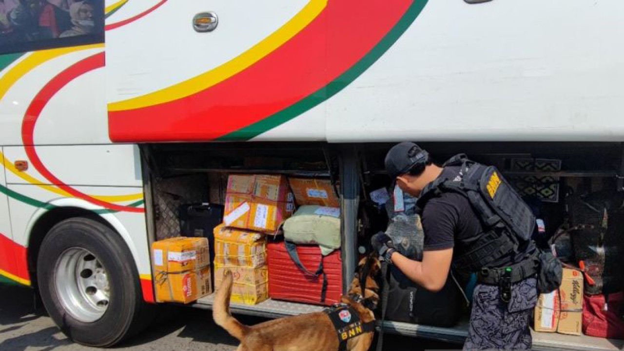 Anjing pelacak dari Unit K-9 Badan Narkotika Nasional (BNN) tengah menyisir barang bawaan penumpang yang berada di bagasi bus Terminal Kampung Rambutan, Jakarta Timur, Selasa (18/4/2023). Penyisiran itu dilakukan untuk mengantisipasi adanya pengiriman narkoba saat arus mudik Lebaran 1444 Hijriah. ANTARA/Syaiful Hakim