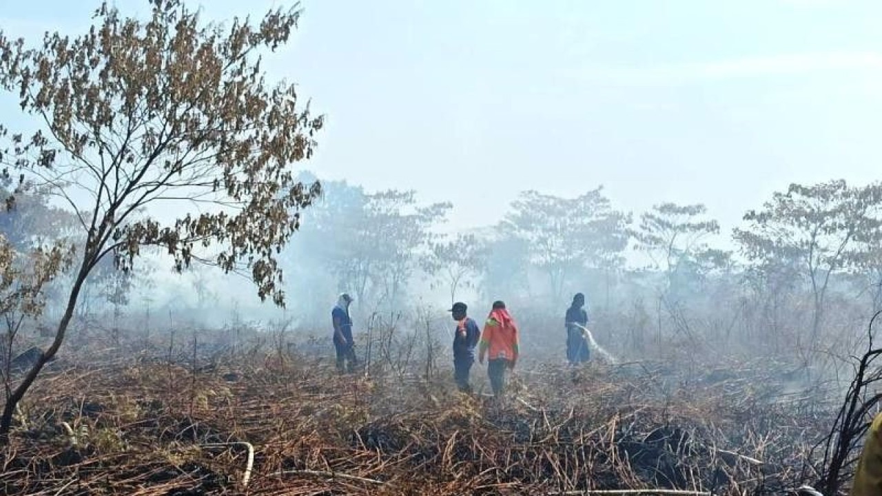 Petugas melakukan upaya pemadaman di lokasi kebakaran lahan di kawasan Desa Napai, Kecamatan Woyla Barat, Kabupaten Aceh Barat, Jumat (14/4/2023). (ANTARA/HO)