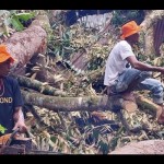 BPBD: Hanya satu KK korban angin kencang di Nagan Raya yang mengungsi-1682592241