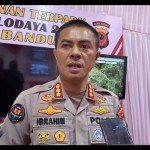 Ibrahim-1681461234