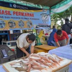 Ikan-1681460643