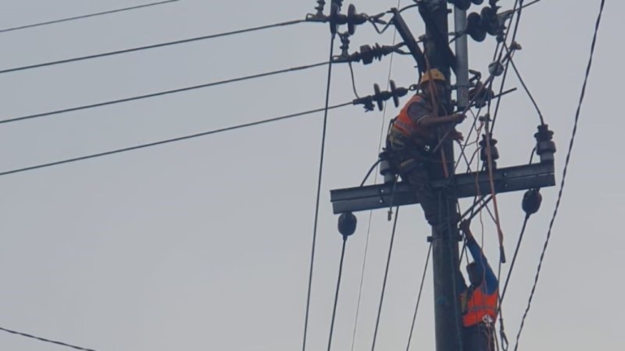 Petugas memperbaikan jaringan PLN Putus di Jalan Raya Desa Teja Timur, Pamekasan, Selasa, akibat disambar petir. (ANTARA/Abd. Aziz)