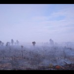 Kebakaran lahan di sepanjang jalan Batubi - Kelarik (Semala) Natuna, Kepri, Selasa (16/1/2023). (Cherman/ANTARA)-1681202892