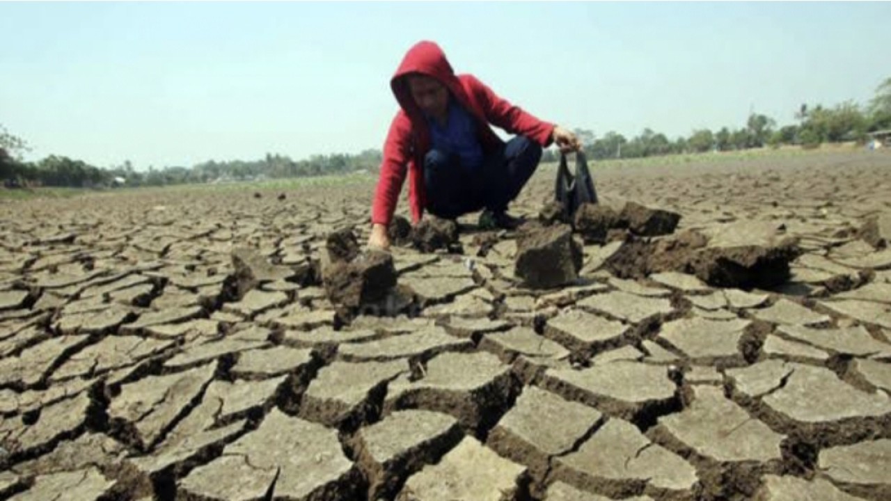 Kemarau panjang di Indonesia