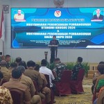 Kemendagri dorong Papua Barat Daya optimalkan APBD atasi stunting-1680753391