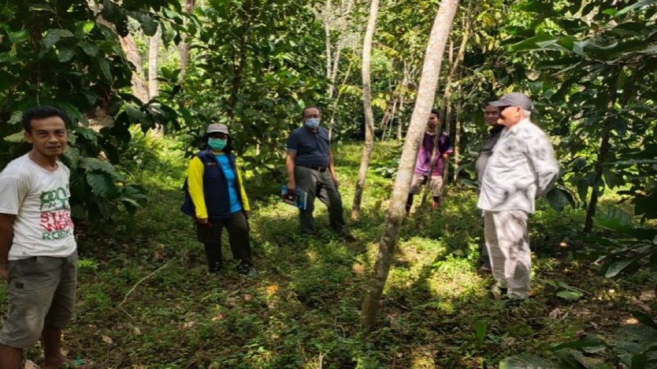 KPH Tabalong saat berikan penyuluhan dalam program kemitraan kehutanan dalam budidaya kopi di Desa Santuun Kecamatan Muara Uya. (ANTARA/HO-KPH Tabalong)