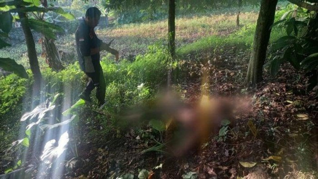 Mayat sopir taksi online yang dibunuh dan dirampok di tol Jagorawi. (Net)