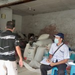 NJOP-1680682562
