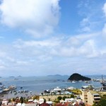 NTT-1680501065