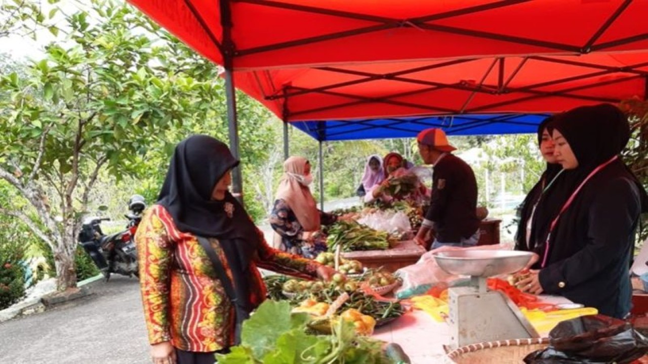 Seorang pengunjung mendatangi stan petani lokal yang berjualan sayuran di Hikun Agri Park, Tabalong pada beberapa waktu lalu. (ANTARA/HO-Dinas KP2TPH Tabalong)