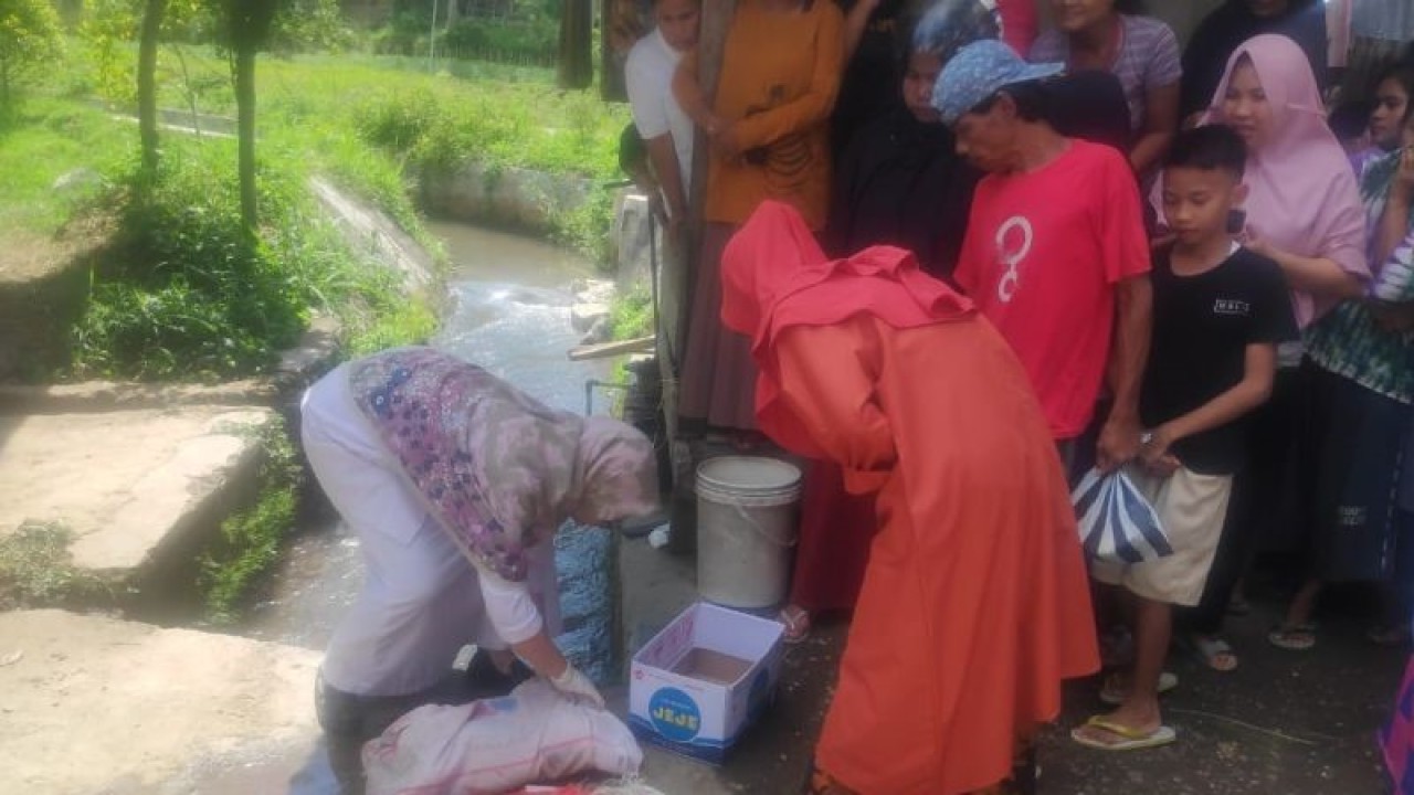 Penemuan mayat bayi dalam selokan Jorong Guk Rantau, Simpang Sawah Balik Nagari Koto Baru, Kecamatan Kubung Kabupaten Solok, Sumbar (ANTARA/Laila Syafarud)