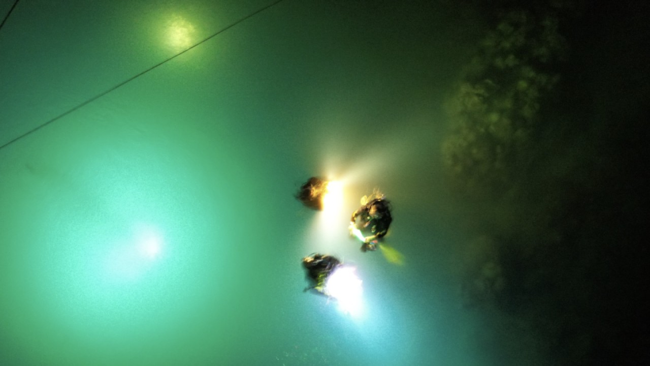 Para penyelam merayakan tradisi Gorontalo malam pasang lampu atau tumbilotohe, dengan menyalakan lampu di bawah laut perairan wisata hiu paus Desa Botubarani Kecamatan Kabila Bone Kabupaten Bone Bolango, Selasa. (ANTARA/HO-WGC)