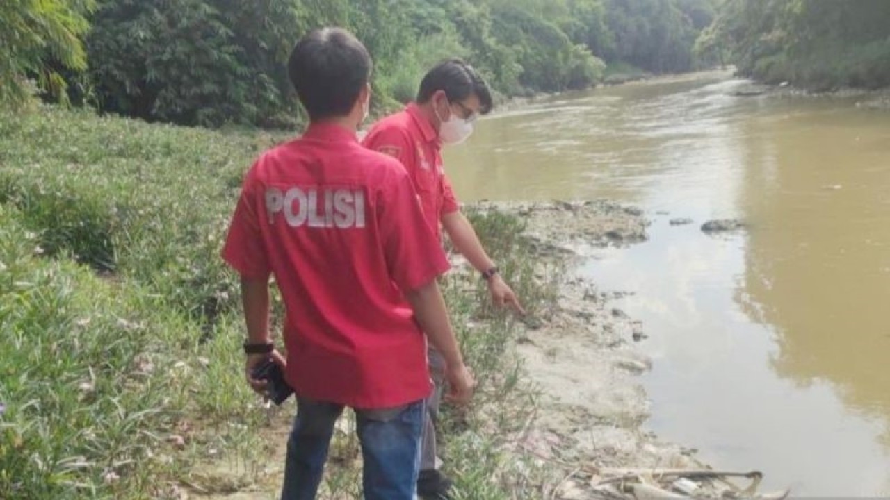 Polisi menyelidiki penyebab ribuan ikan mati di Sungai Cileungsi, Kabupaten Bogor, Jawa Barat. ANTARA/HO-Humas Polres Bogor