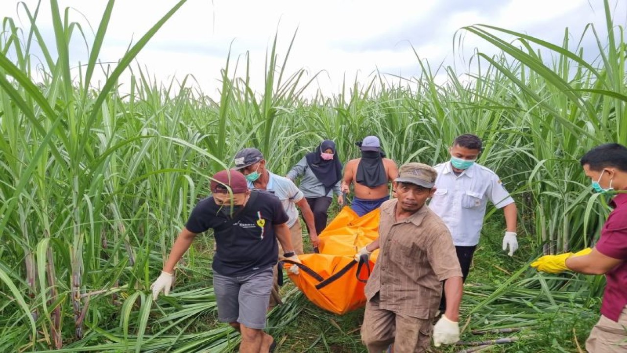 Polisi saat mengevakuasi seorang ibu yang melahirkan di kebun tebu Dusun Pluncing, Desa Siman, Kecamatan Kepung, Kabupaten Kediri, Jawa Timur, dan ditemukan meninggal dunia, akhir Maret 2023. ANTARA/HO-Polres Kediri